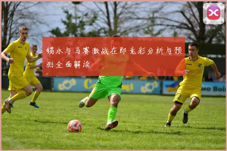锡永与马赛激战在即竞彩分析与预测全面解读