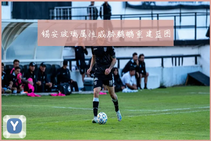 锡安玻璃属性威胁鹈鹕重建蓝图