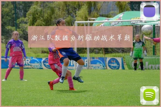 浙江队数据分析驱动战术革新